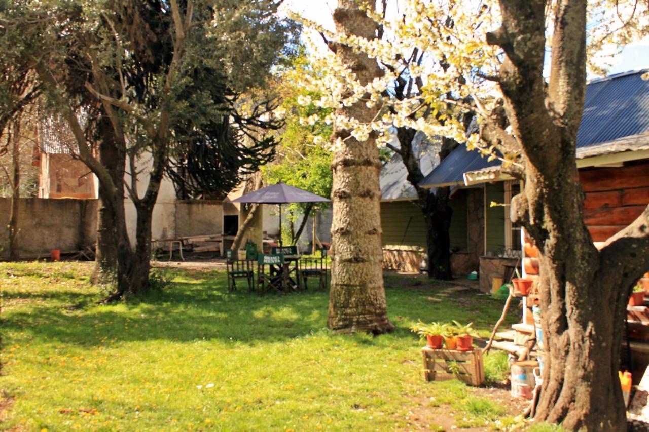 Alhue Patagonia Hostel San Martín de los Andes Exterior foto